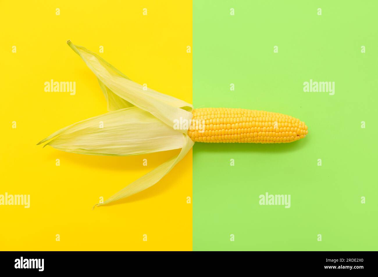 Fresh Corn Cob On Colorful Background Stock Photo Alamy Fresh Corn Cob On Colorful Background Stock Photo Alamy