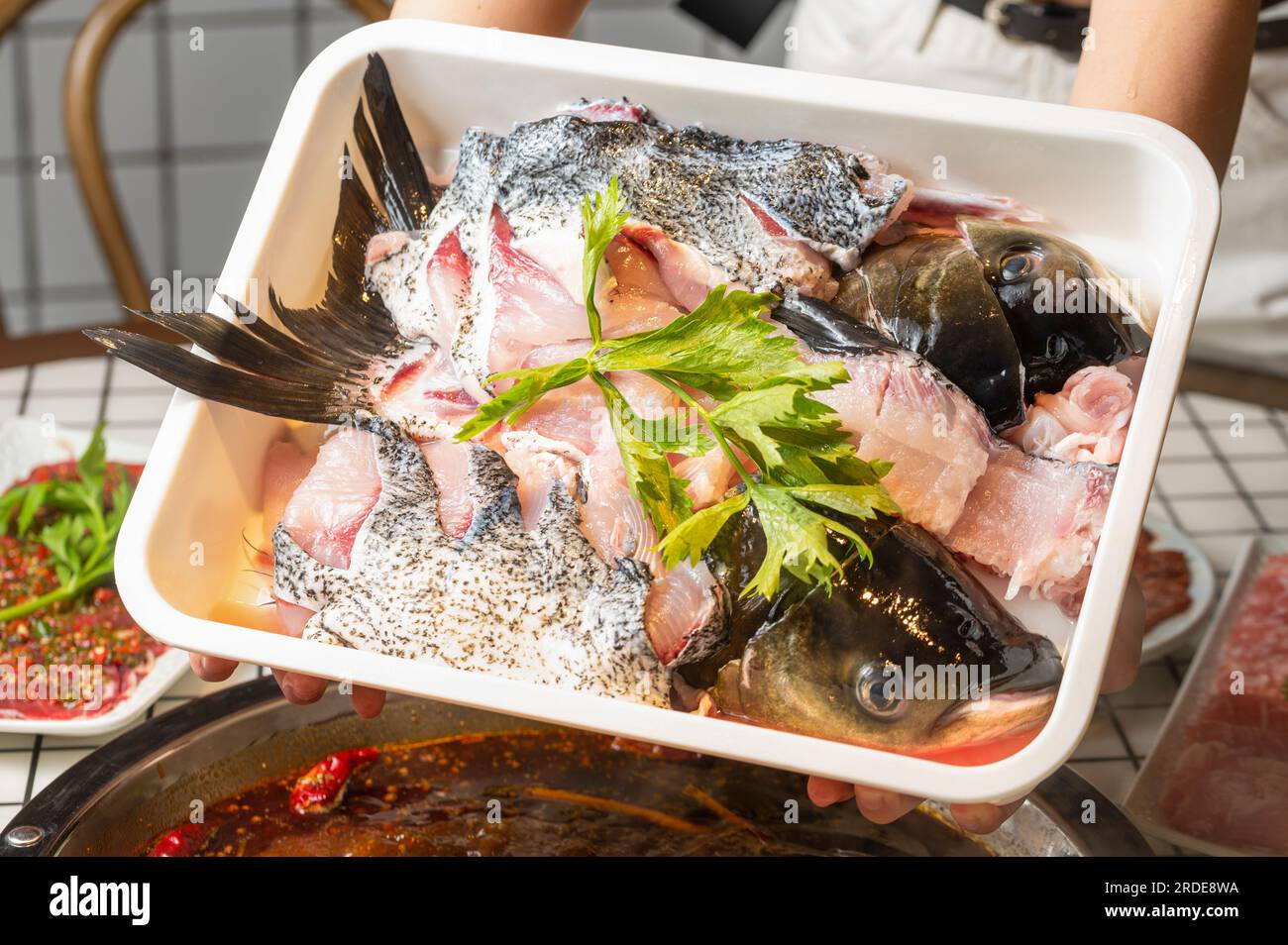 Bighead carp fish Fish Head Hotpot Stock Photo