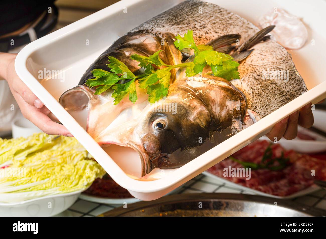Bighead carp fish Fish Head Hotpot Stock Photo