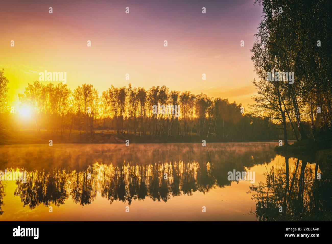 Cloudy green film on water hi-res stock photography and images - Alamy