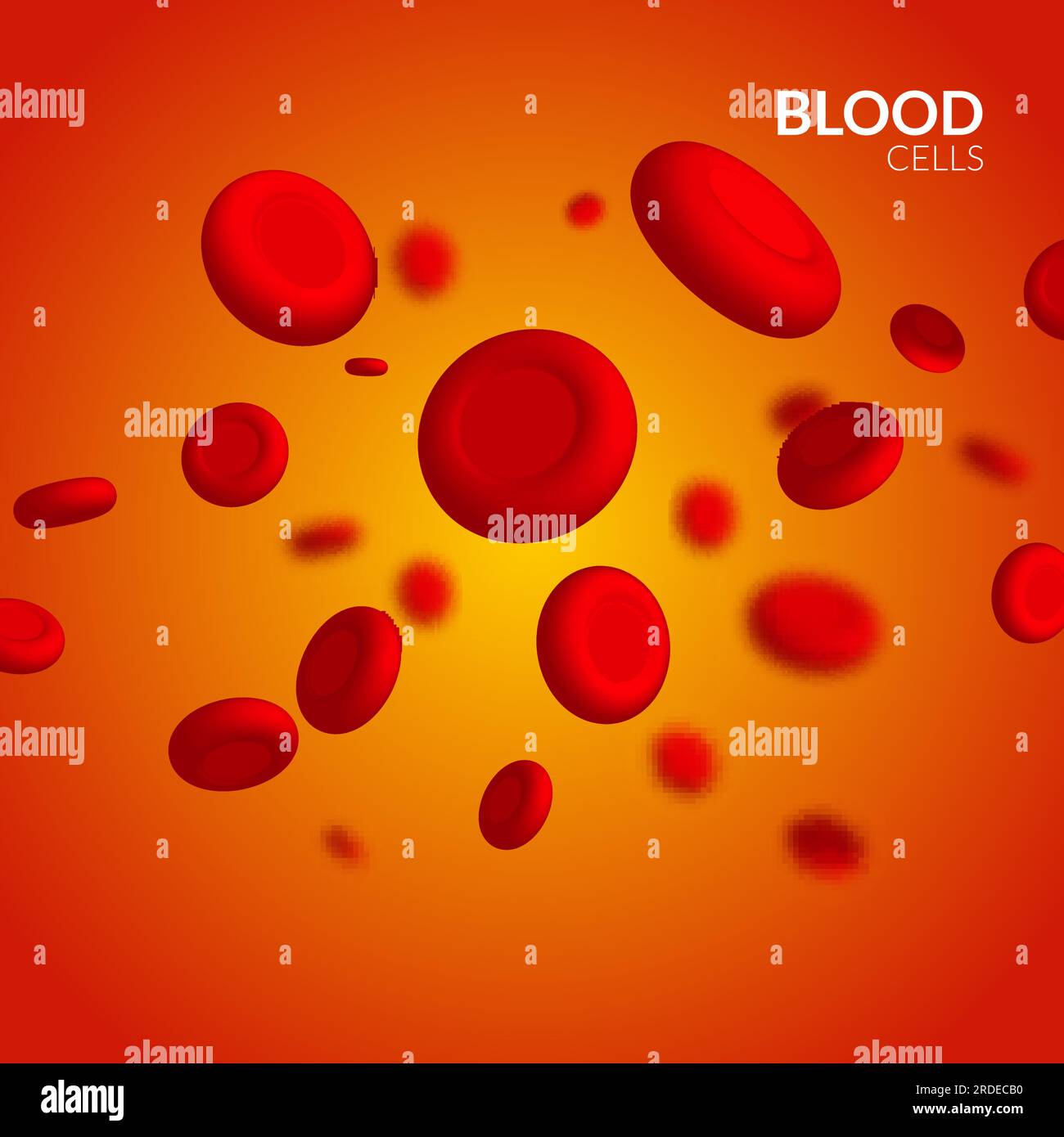 Vector vein blood red cell. Biology medical health. Macro medicine science Stock Vector