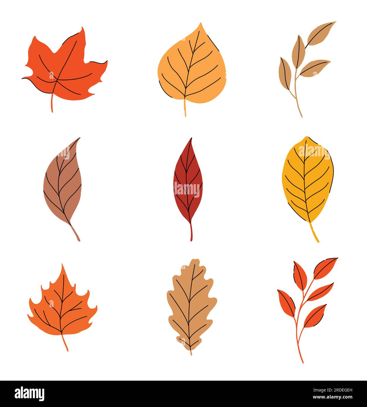 Autumn leaves set isolated on white background. Stock Vector