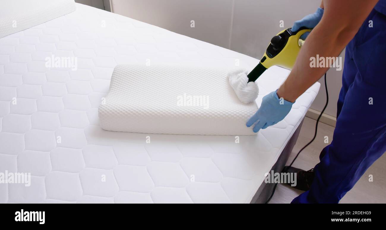 Bed Bug Pillow Pest Control Cleaning Using Steam Machine Stock Photo