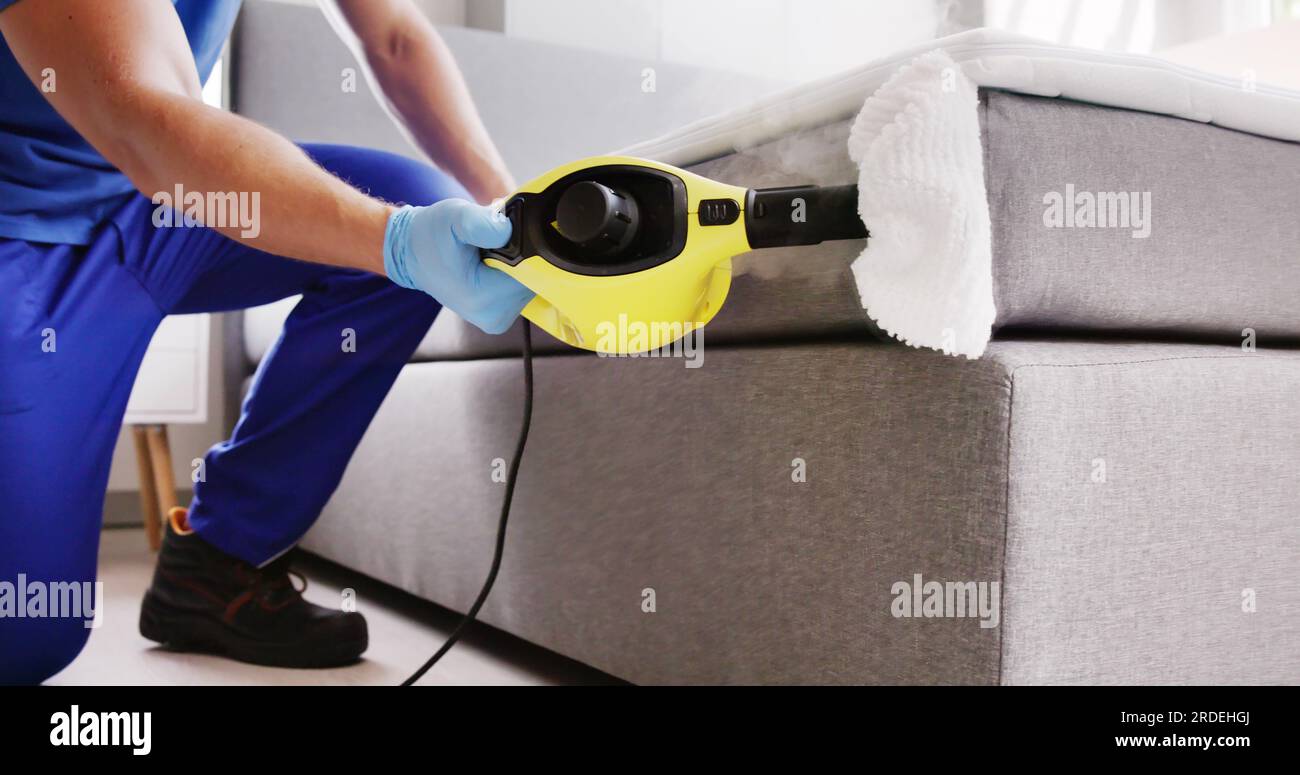 Bed Bug Pest Control Cleaning Using Steam Machine Stock Photo Alamy