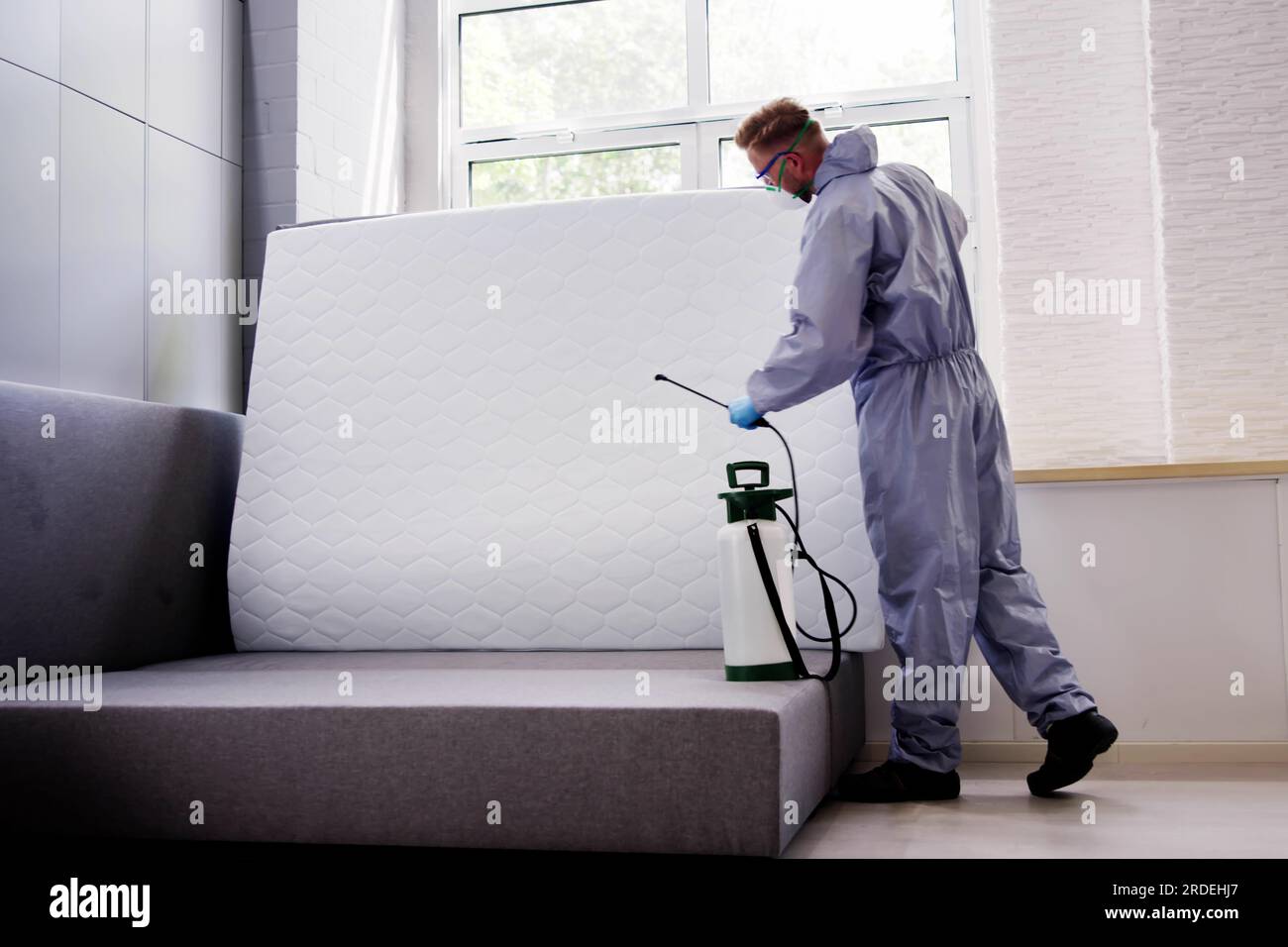 Pest Control Service. Bug Bed Treatment By Exterminator Stock Photo - Alamy