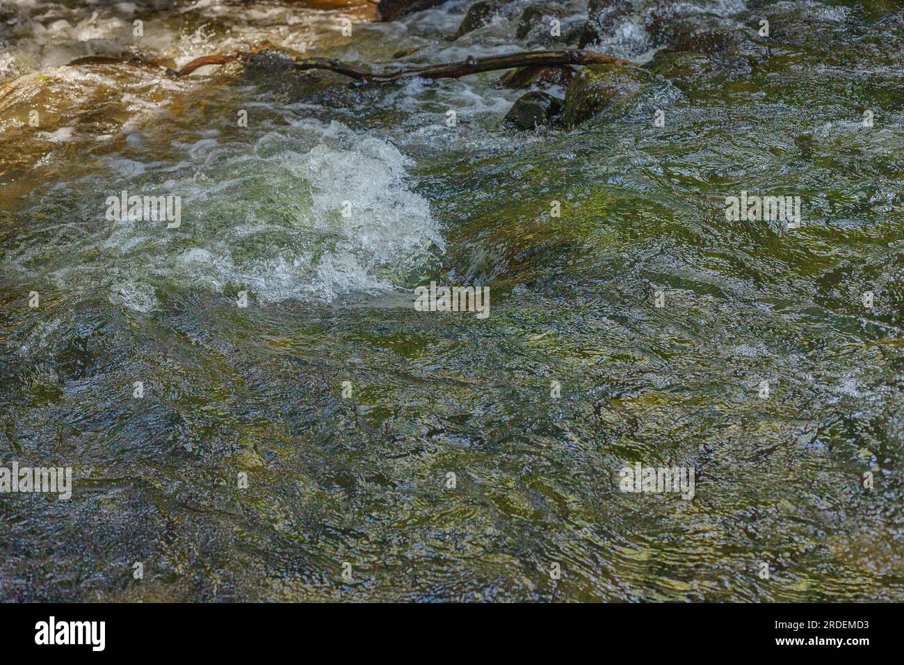 Rapid river. Whirlpools. Waves on the river. Vacations in Poland. Swider River. Stock Photo