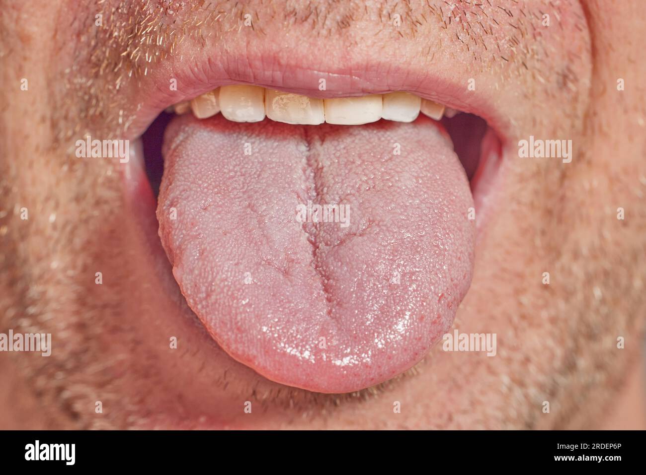 Closeup of male tounge with light beard Stock Photo