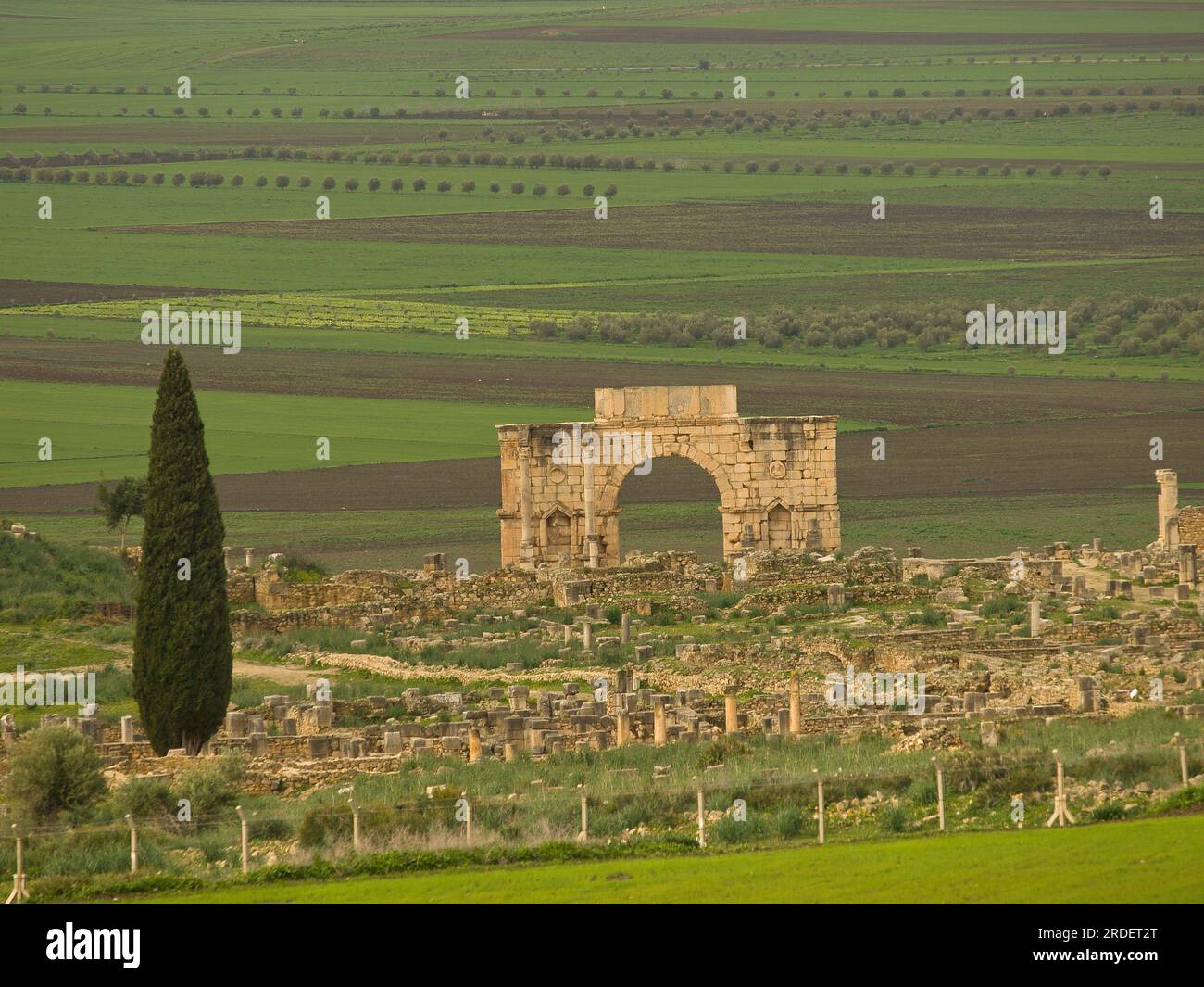 Ciudad Romana de Volubilis(II d.c.), yacimiento arqueologico.Marruecos. Stock Photo