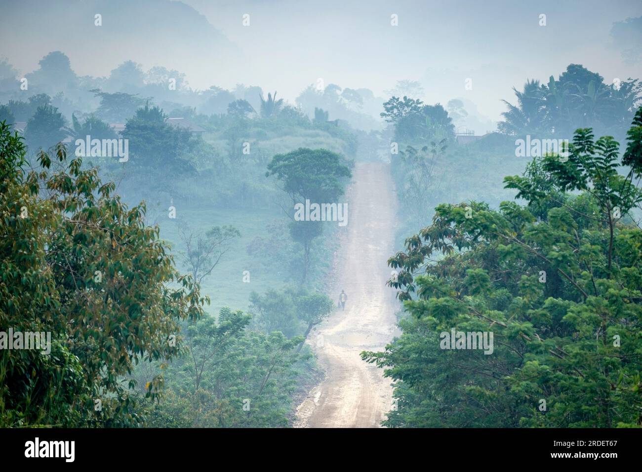 Humid places hi-res stock photography and images - Alamy