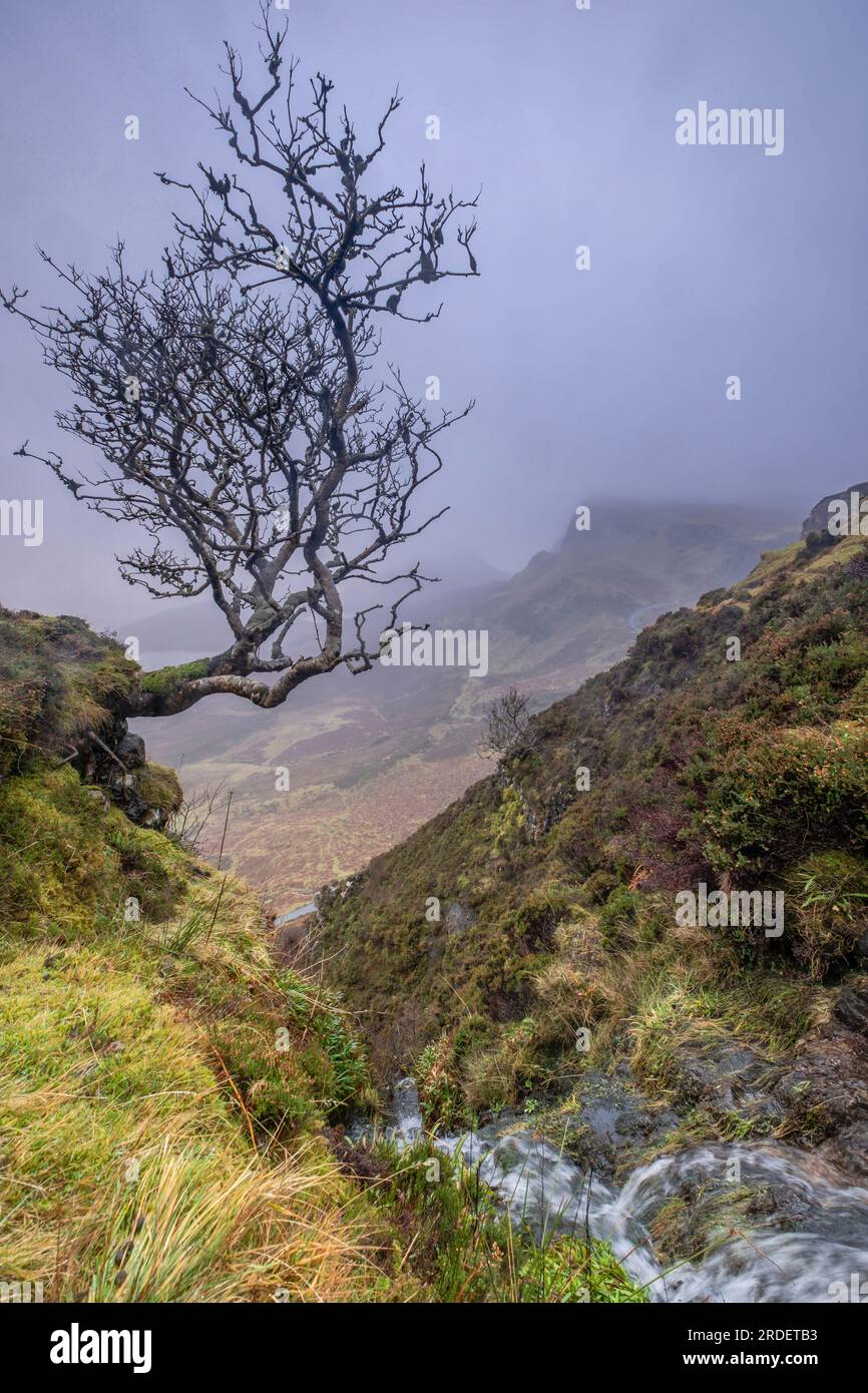 Quiraing Valley, Skye, Highlands, Scotland, United Kingdom Stock Photo