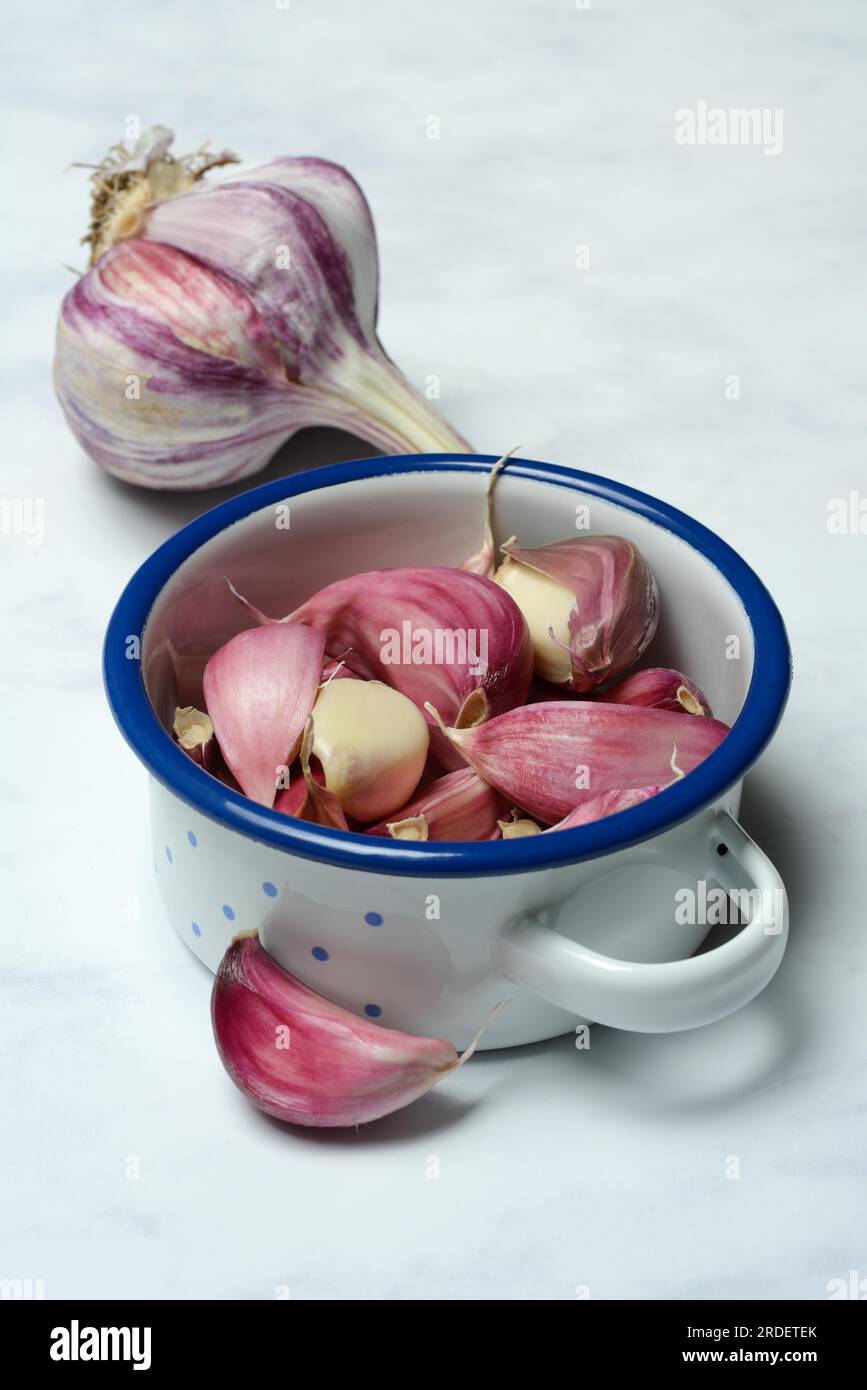 Fresh, red garlic cloves in pots, garlic (Allium cepa), France Stock