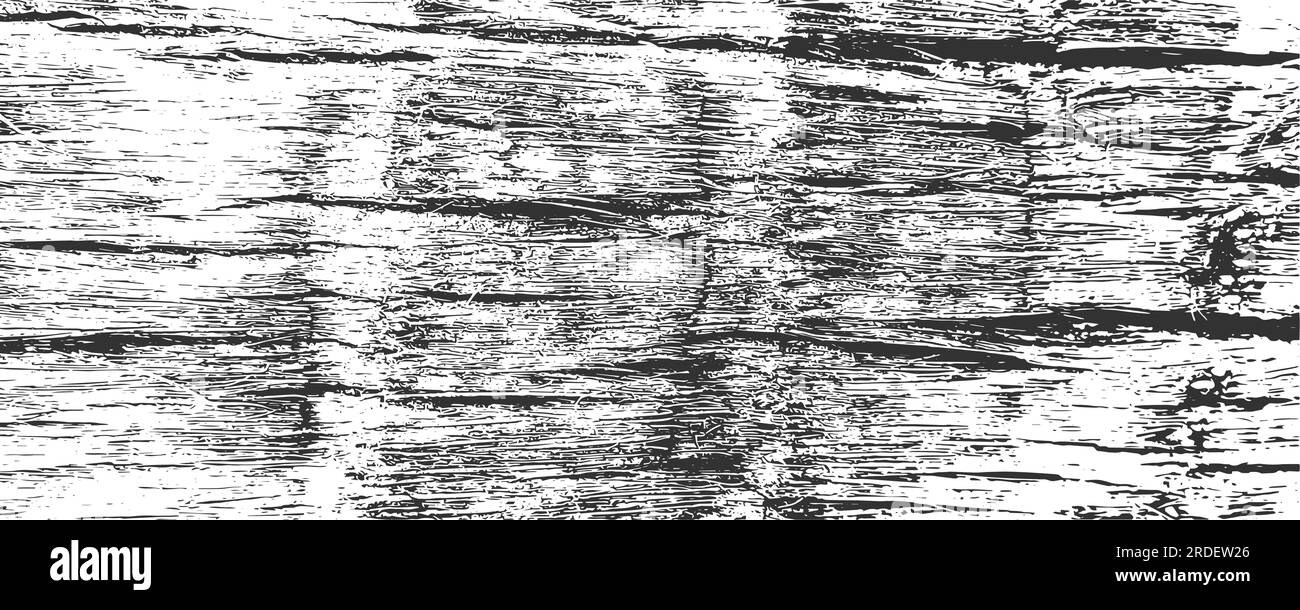 Grunge coconut palm bark texture background. Adged tree stem log. Vector Stock Vector