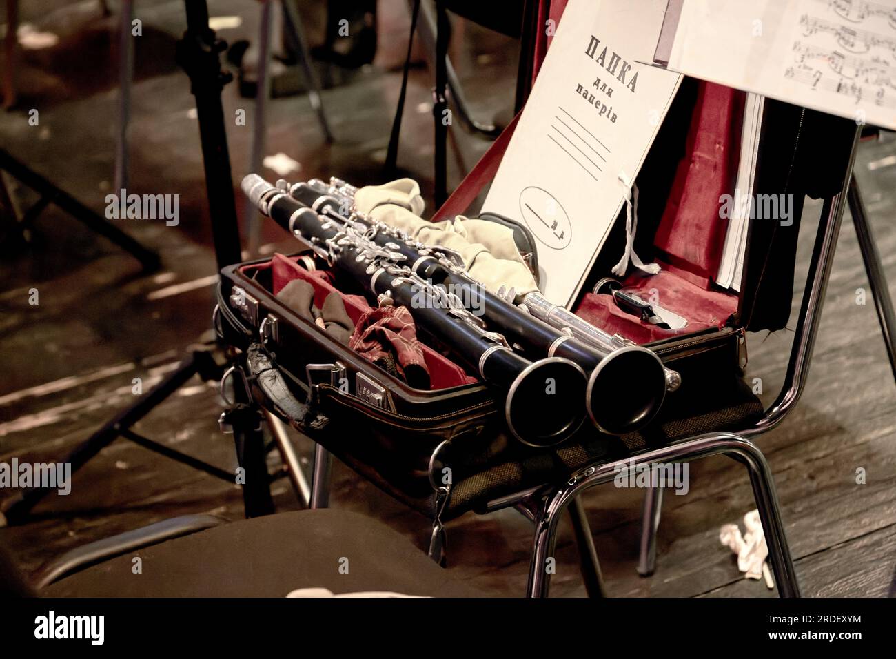 Image of two musical instruments wooden on wardrobe trunk