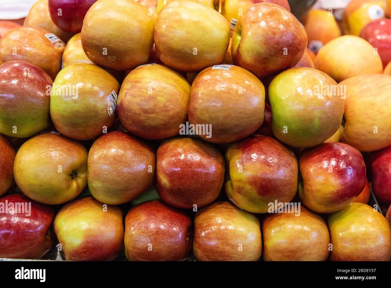 Tasteful apples Stock Photo