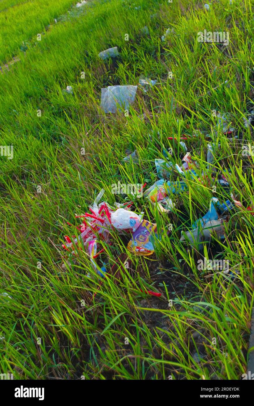 People throw garbage in the grass. Garbage scattered on the grass Stock