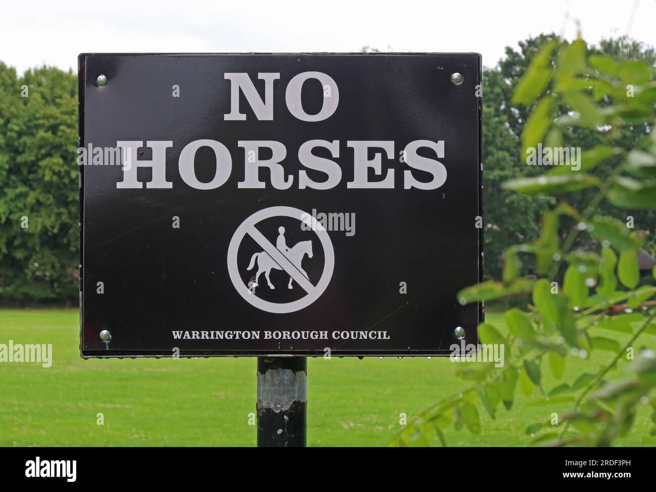No horses or horse riding sign, by order of Warrington Borough Council, Bell Lane, Thelwall, South Warrington, Cheshire, England, UK, WA4 2SU Stock Photo