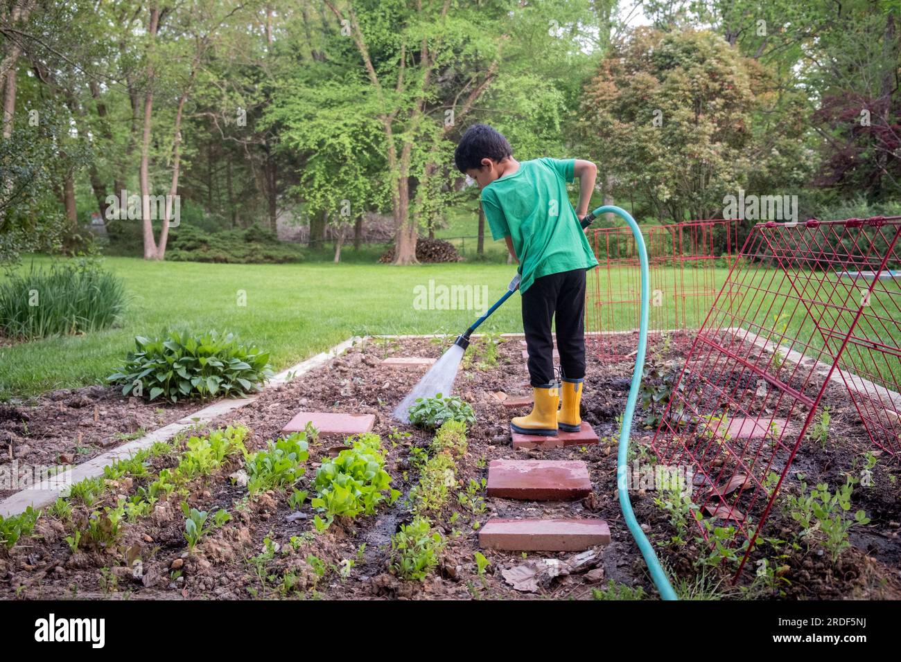 Boy watering plants with hose in backyard garden Stock Photo - Alamy