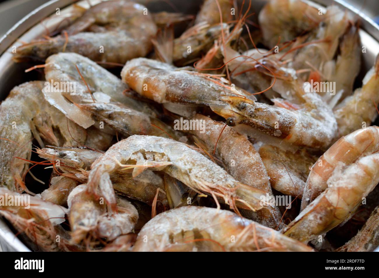 Pile of raw frozen shrimps, a crustacean (a form of shellfish) with an elongated body and a primarily swimming mode of locomotion, Caridea or Dendrobr Stock Photo