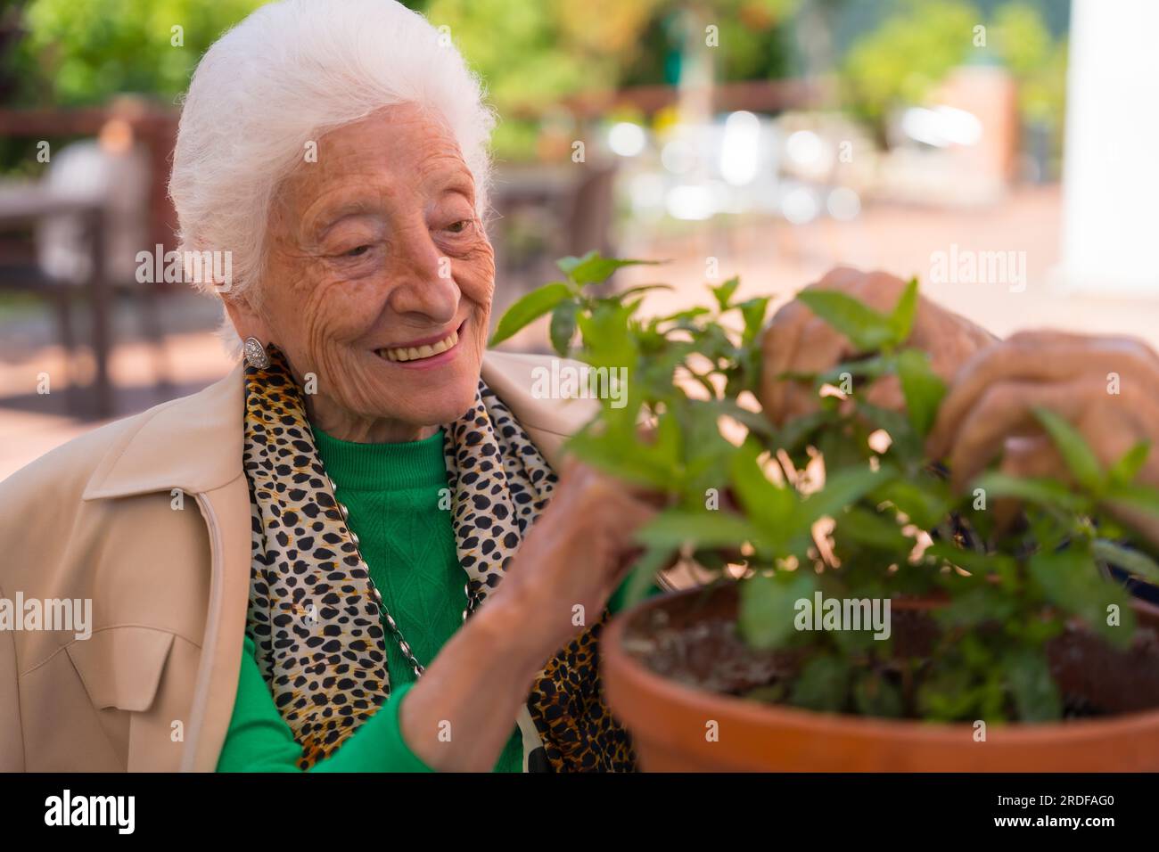 An elderly woman taking care of the flowers in the garden of a nursing home or retirement home, old man and old woman Stock Photo