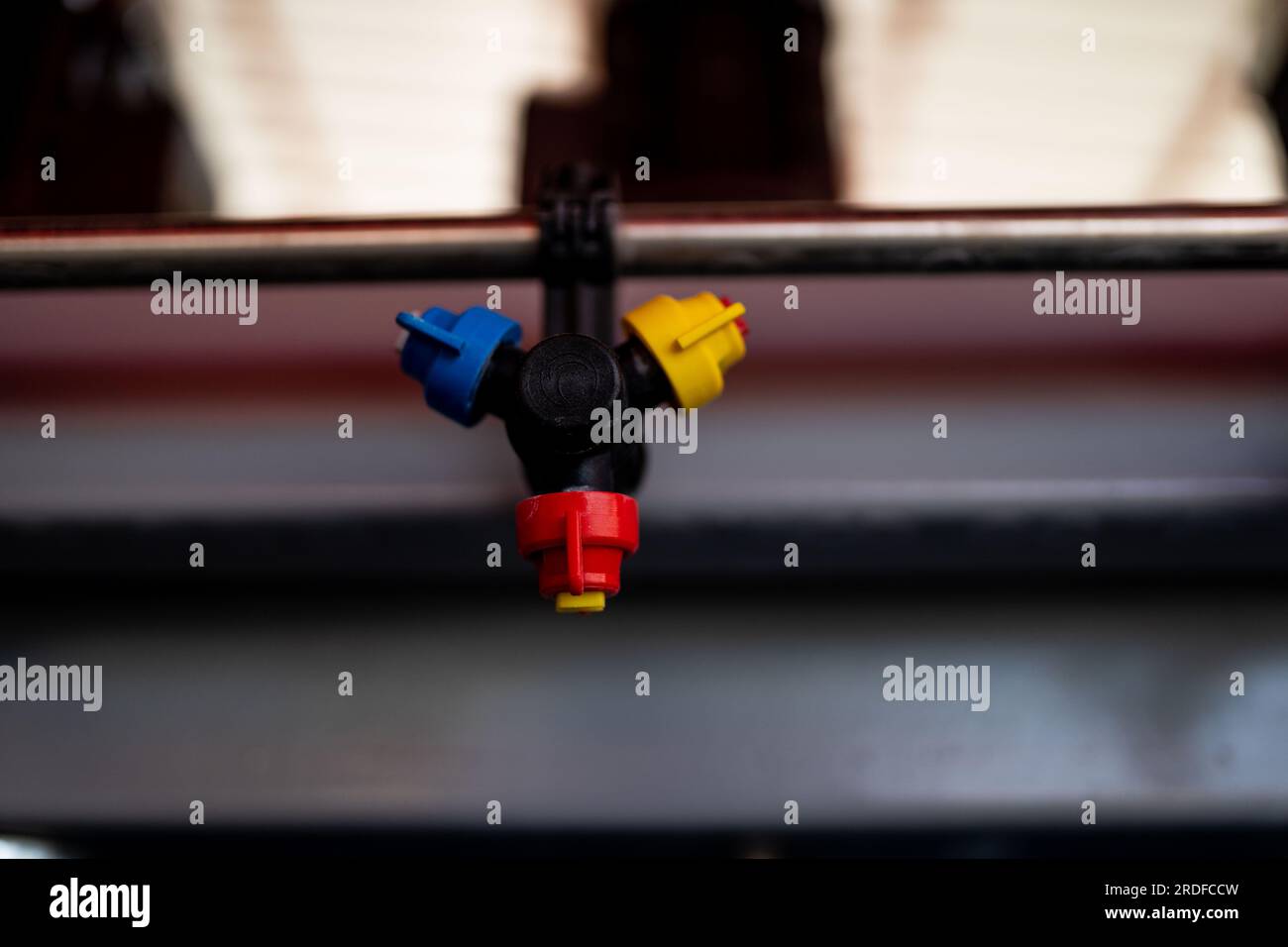 Automatic washing and cleaning of carpets. Industrial line for washing