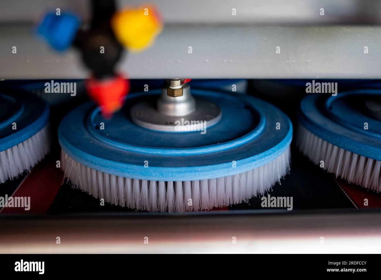Automatic washing and cleaning of carpets. Industrial line for washing