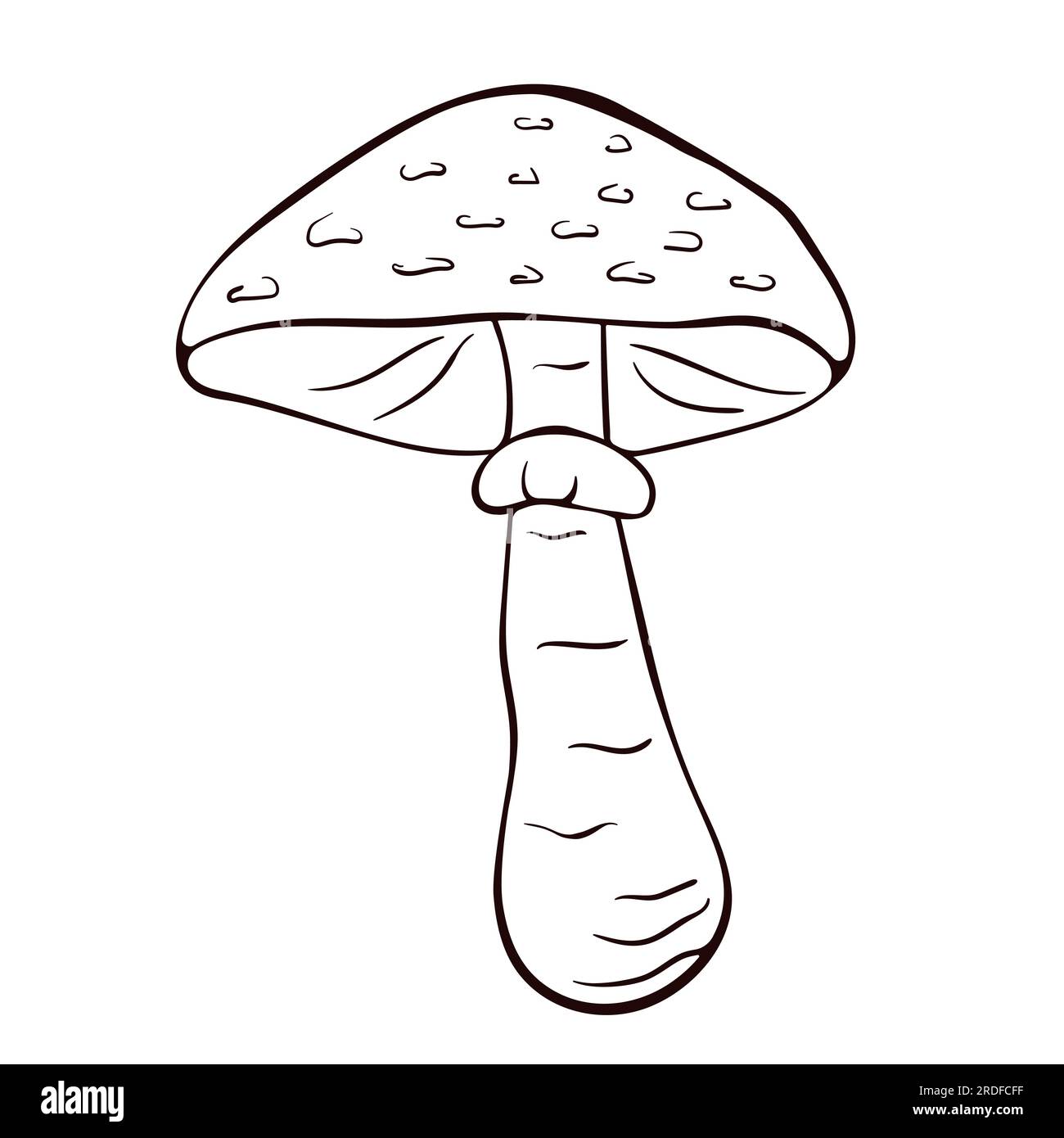 Parasol mushroom in line art style. Black and white vector sketch