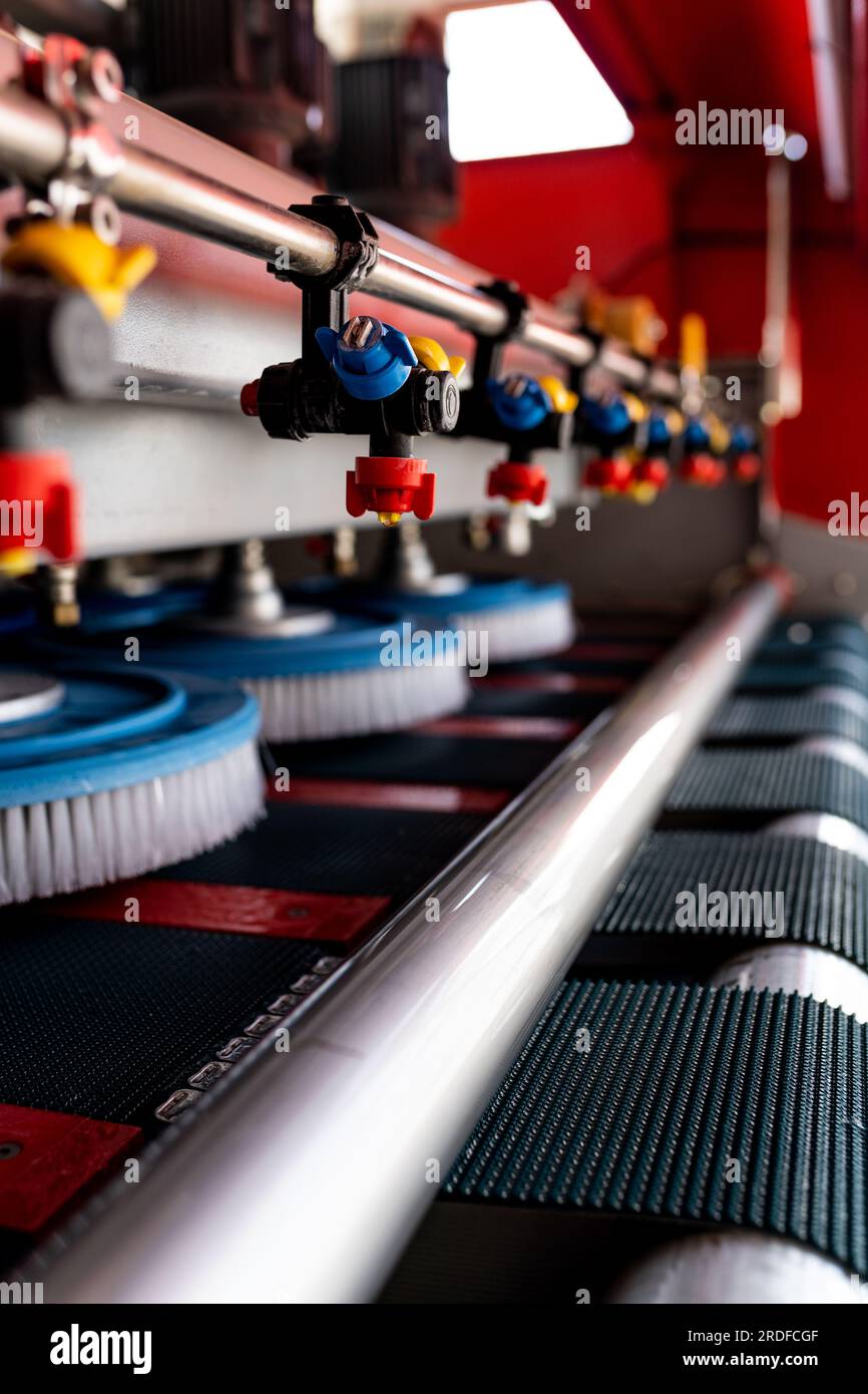 Automatic washing and cleaning of carpets. Industrial line for washing