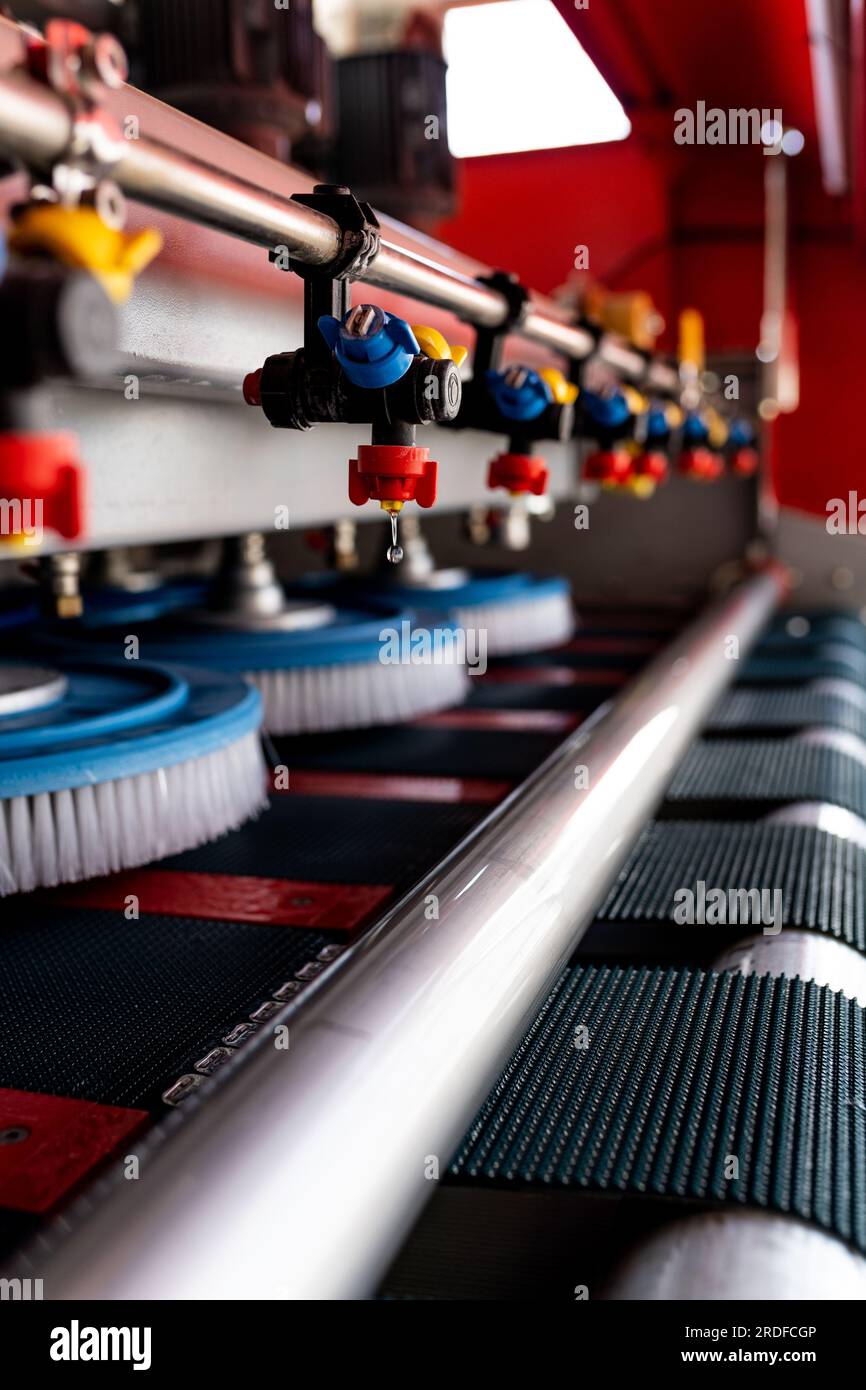 Automatic washing and cleaning of carpets. Industrial line for washing