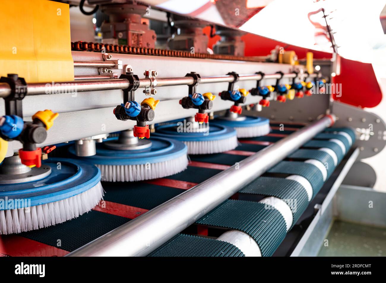 Automatic washing and cleaning of carpets. Industrial line for washing