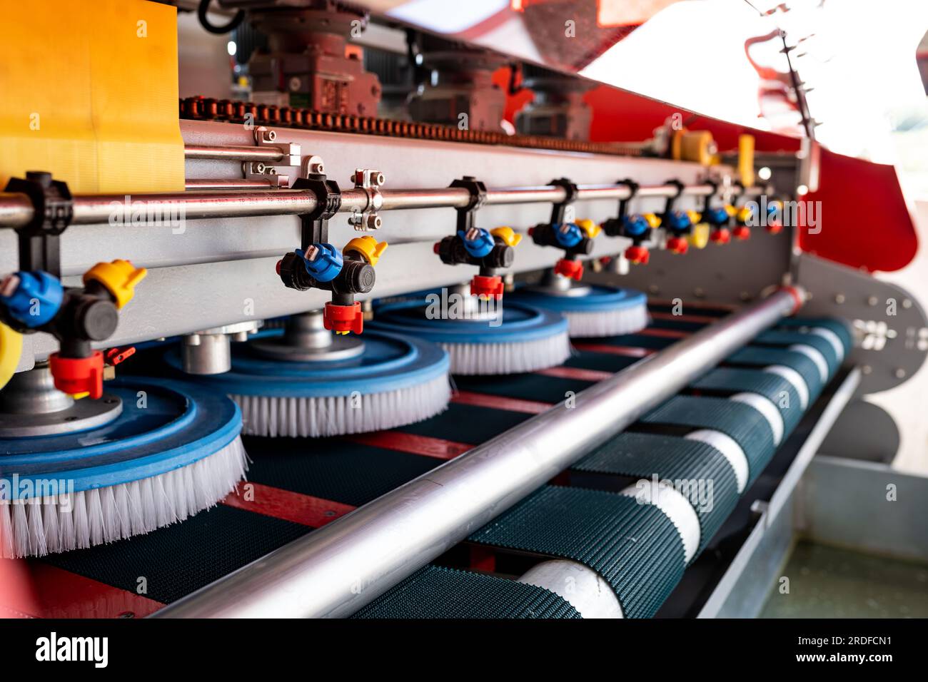 Automatic washing and cleaning of carpets. Industrial line for washing