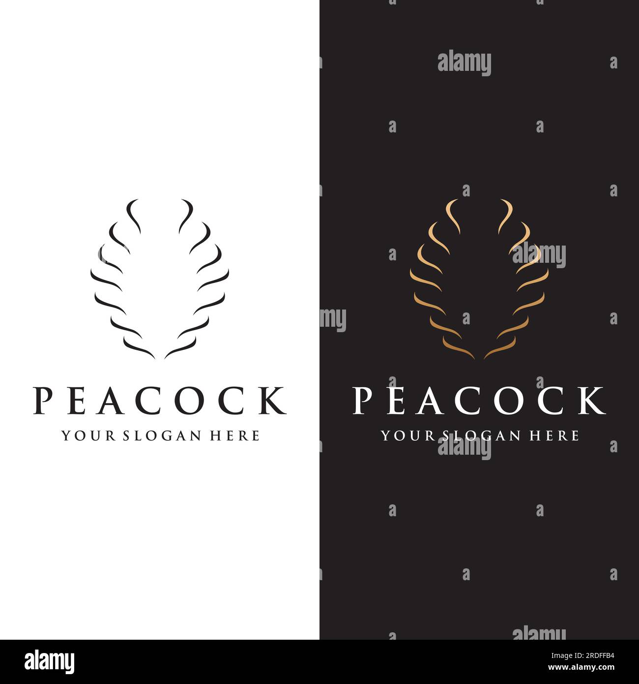 Creative peacock bird and peacock feather logo design-Vector illustration. Stock Vector