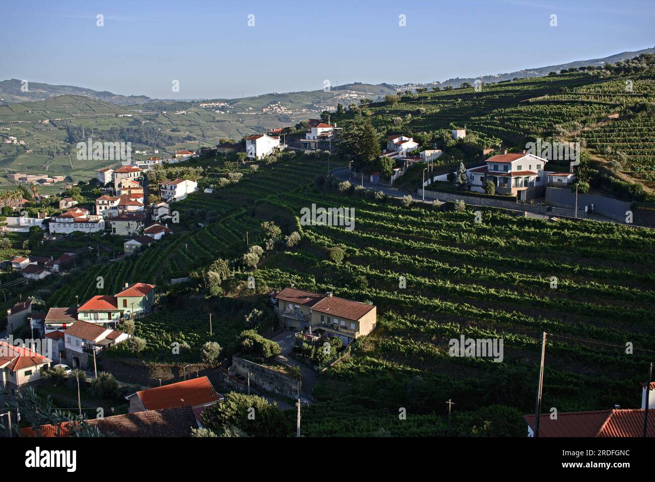 Douro valley. Quinta Pecega, near Peso da Régua, Portugal. View of vinyards in Douro Valley. Stock Photo