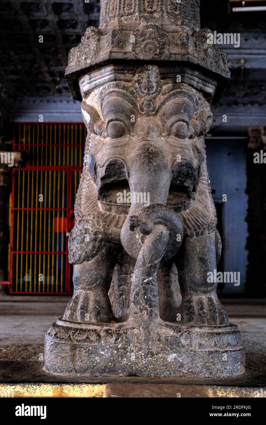 Sculpture on a pillar in Virudhagireeswarar Shiva temple in Virudhachalam, Tamil Nadu, South India, India, Asia Stock Photo