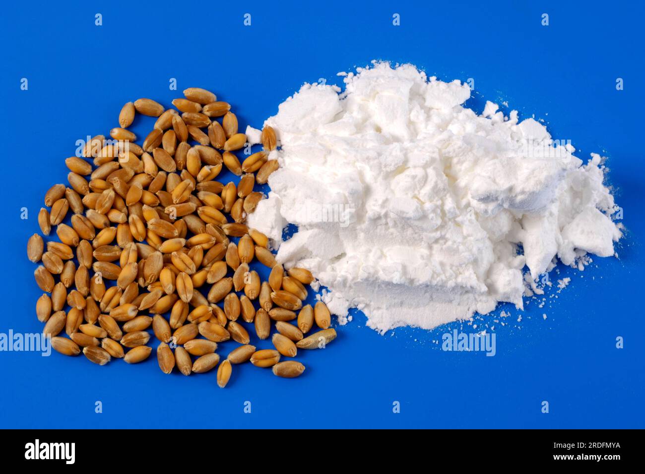 Wheat starch (cornstarch), wheat Stock Photo Alamy