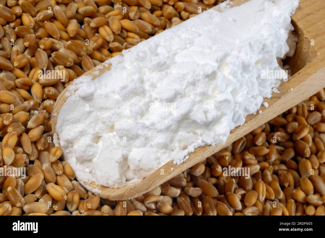 Wheat starch (cornstarch), wheat Stock Photo Alamy