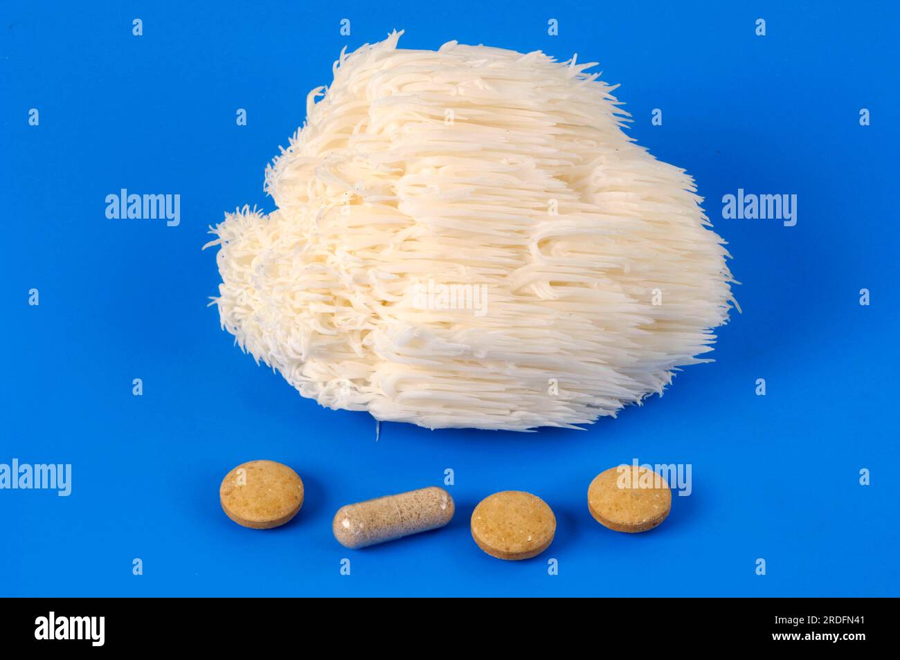 Fresh, in capsule and tablets, hedgehog spiny beard (Hericium erinaceus), TCM Stock Photo