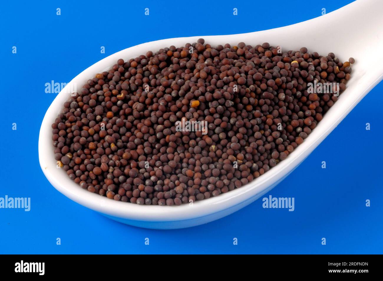The mustard seed hires stock photography and images Alamy