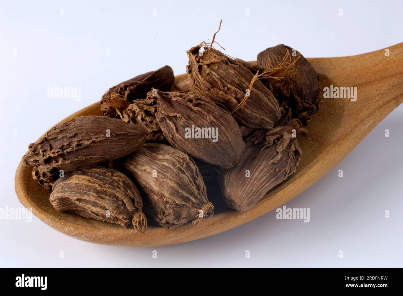 Cardamom, seed (Elettaria cardamomum Stock Photo Alamy