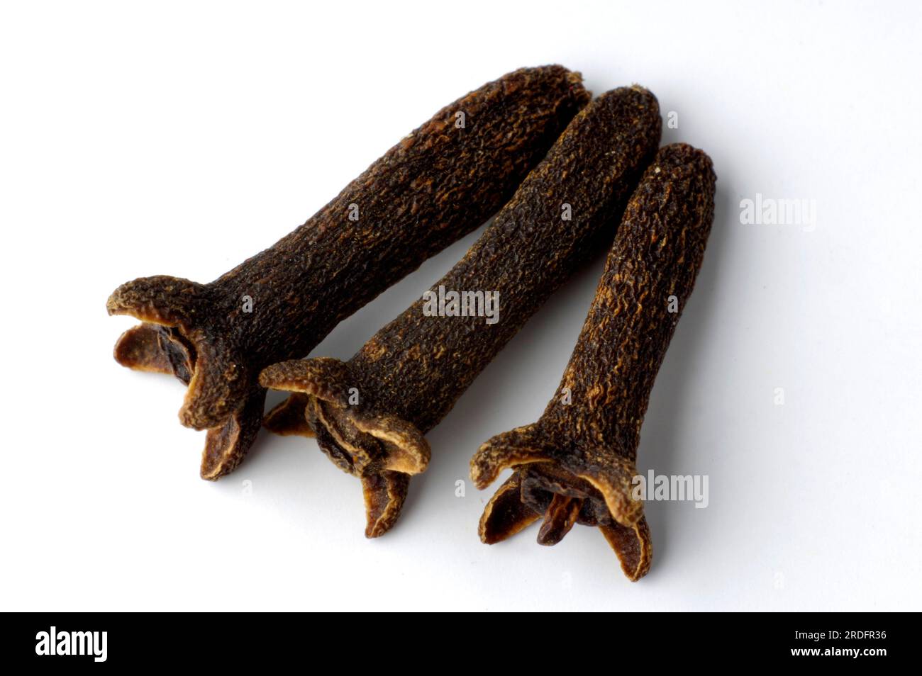 Cloves (Syzygium aromaticum), Clove, Clove, Cloves Stock Photo Alamy