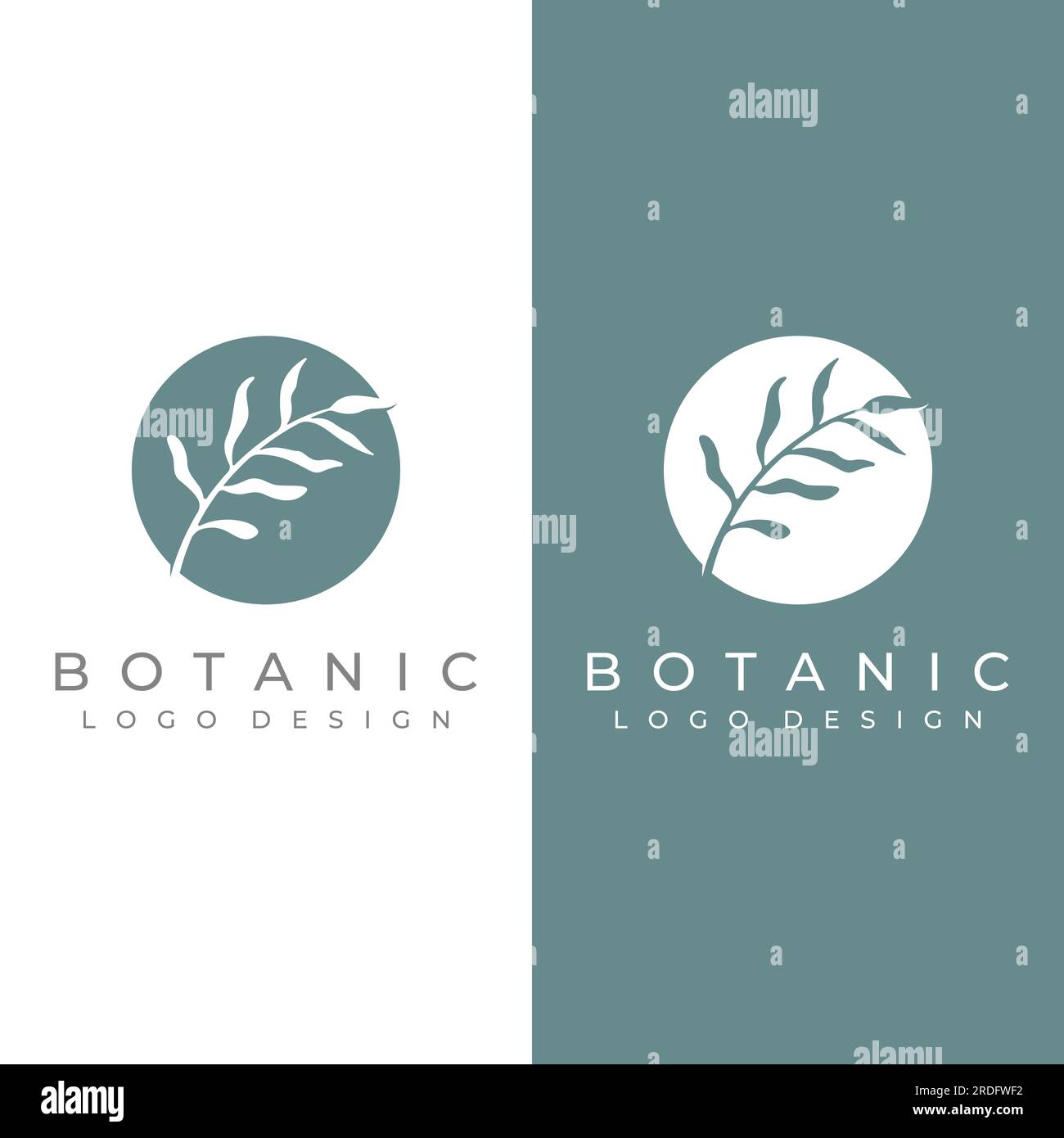 Natural botanical logo organic design with leaves, flowers, stems. With ...