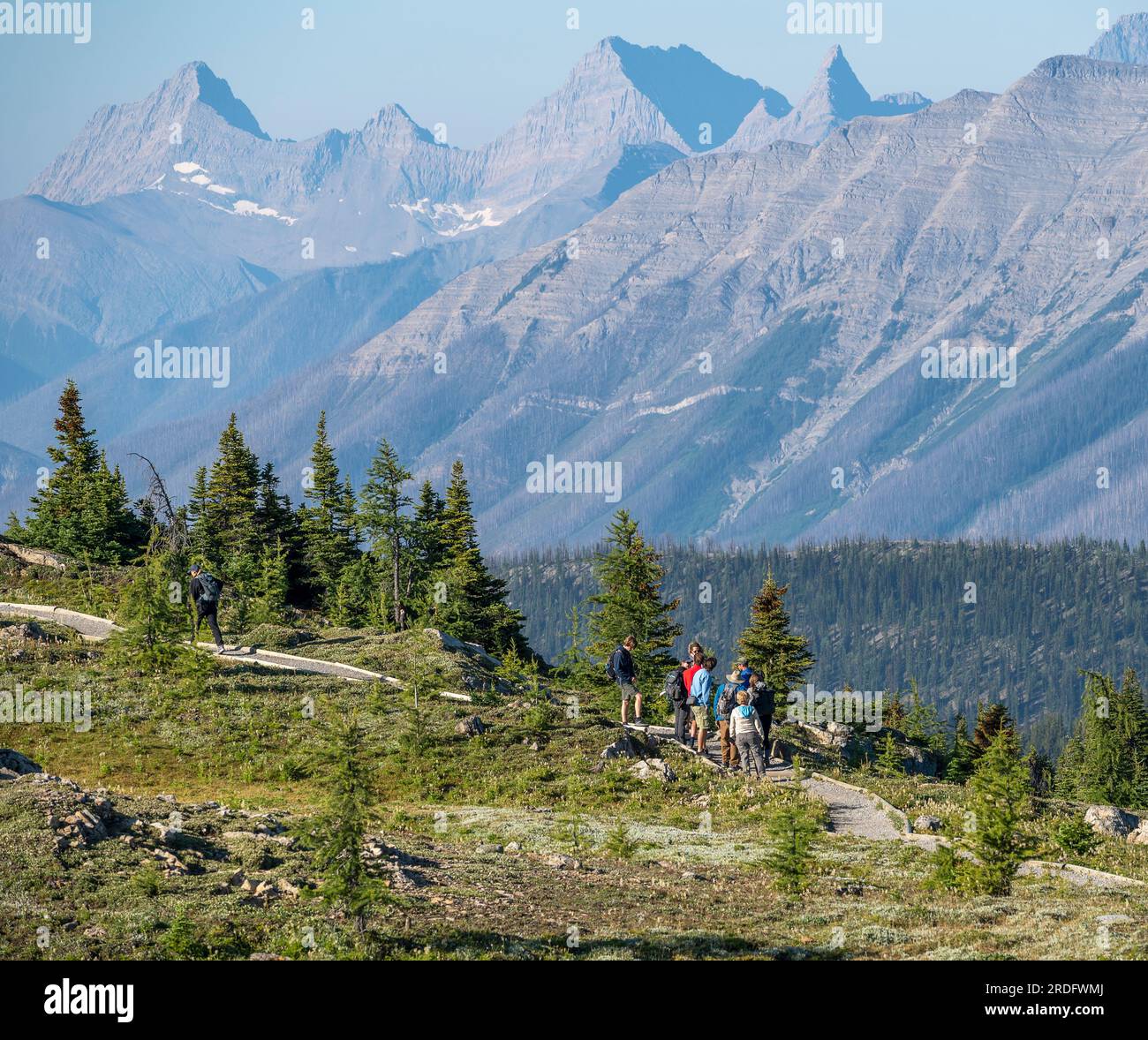 Mount Assiniboine Provincial Park, British Columbia, Canada July 20
