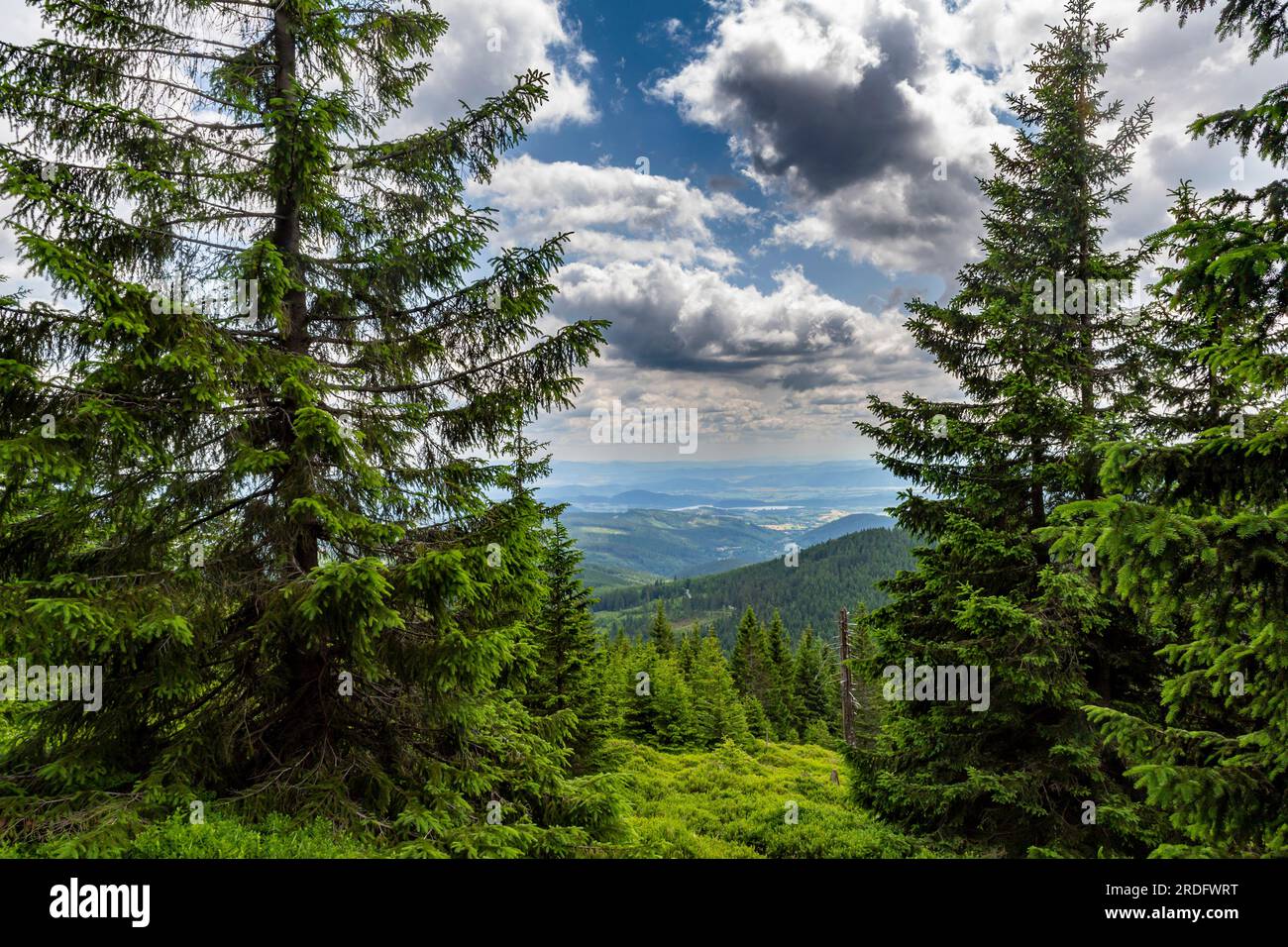 summer day in czech mountains Giant Mountains Krkonose Stock Photo