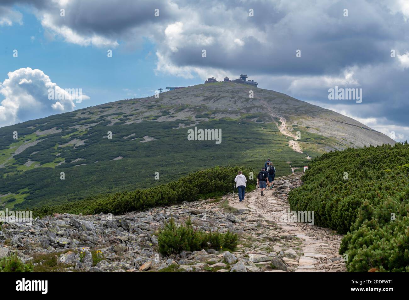 road to peak Snezka in summer day in czech mountains Giant Mountains, Krkonose Stock Photo