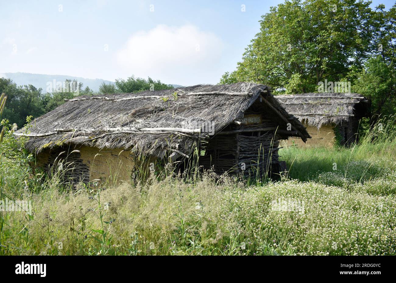 Toplica Archaeological site in the village Pločnik by the Toplica River in ...