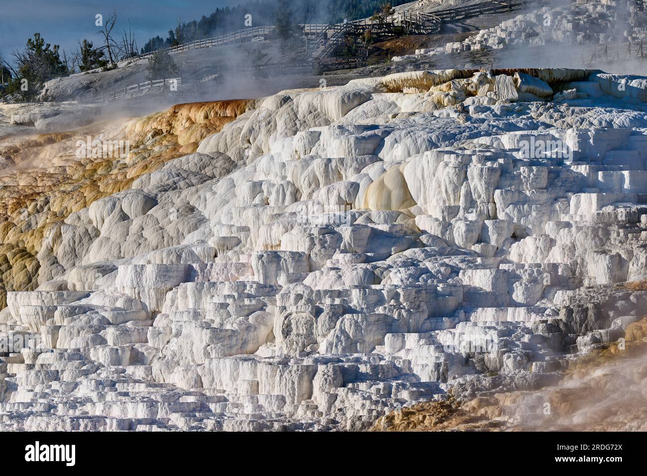 Palette Spring, Mammoth Hot Springs, Yellowstone National Park, Wyoming, United States of America Stock Photo