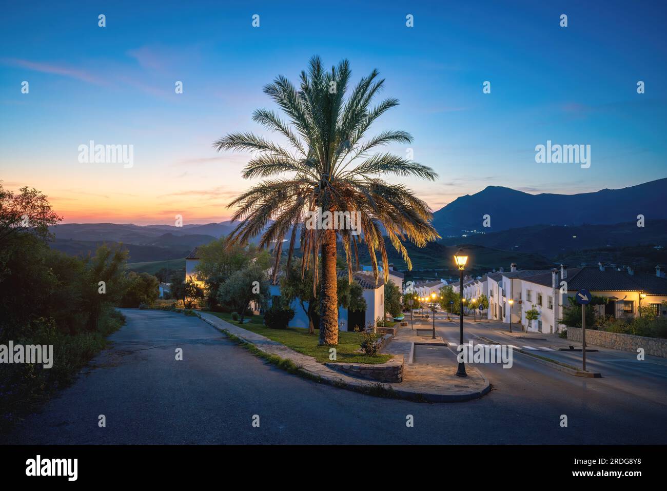 Palm Tree on a street at sunset with Mountains - Zahara de la Sierra, Andalusia, Spain Stock Photo