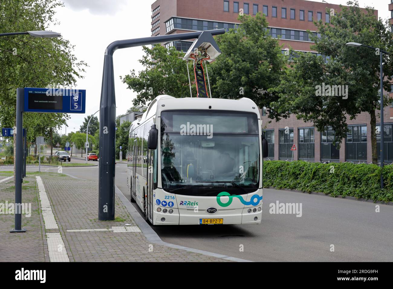 Electrical BYD busses at Zwolle busplatform for regional and local