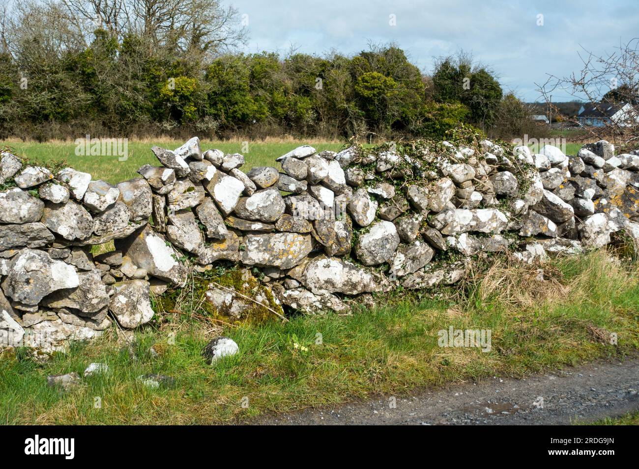 Typical examples of dry stone walls in Galway, Ireland Stock Photo Alamy