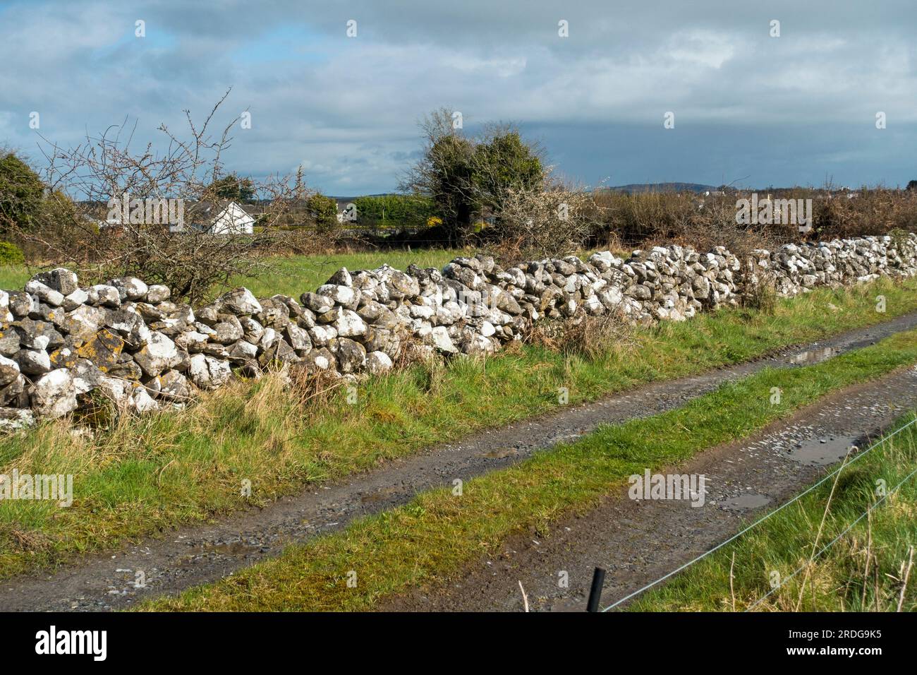 Typical examples of dry stone walls in Galway, Ireland Stock Photo Alamy