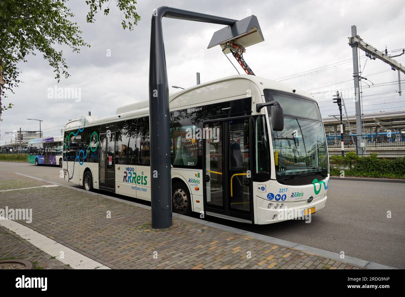 Electrical BYD busses at Zwolle busplatform for regional and local